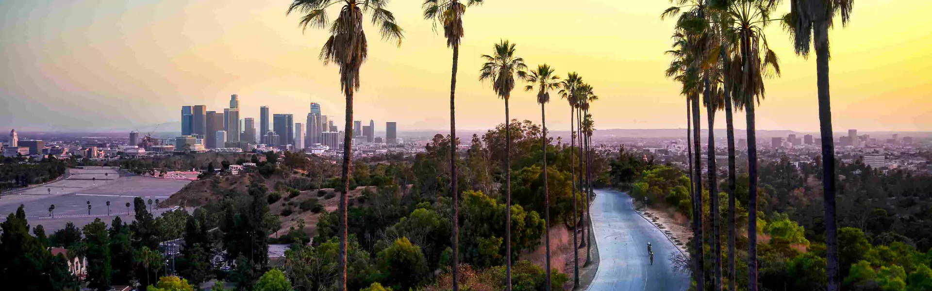 Panoramic view of Los Angeles with palm trees