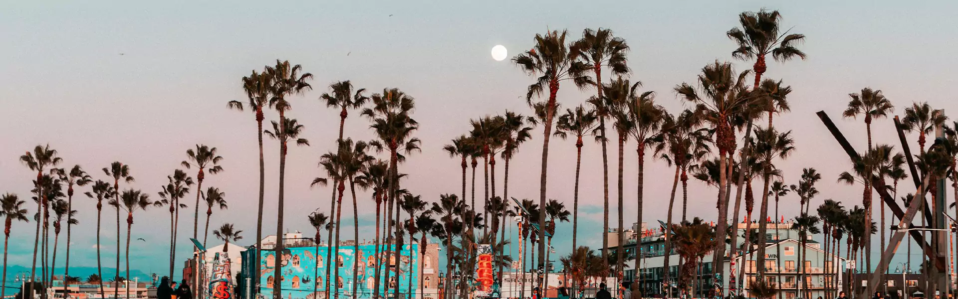 Palm trees against a sunset sky and moon