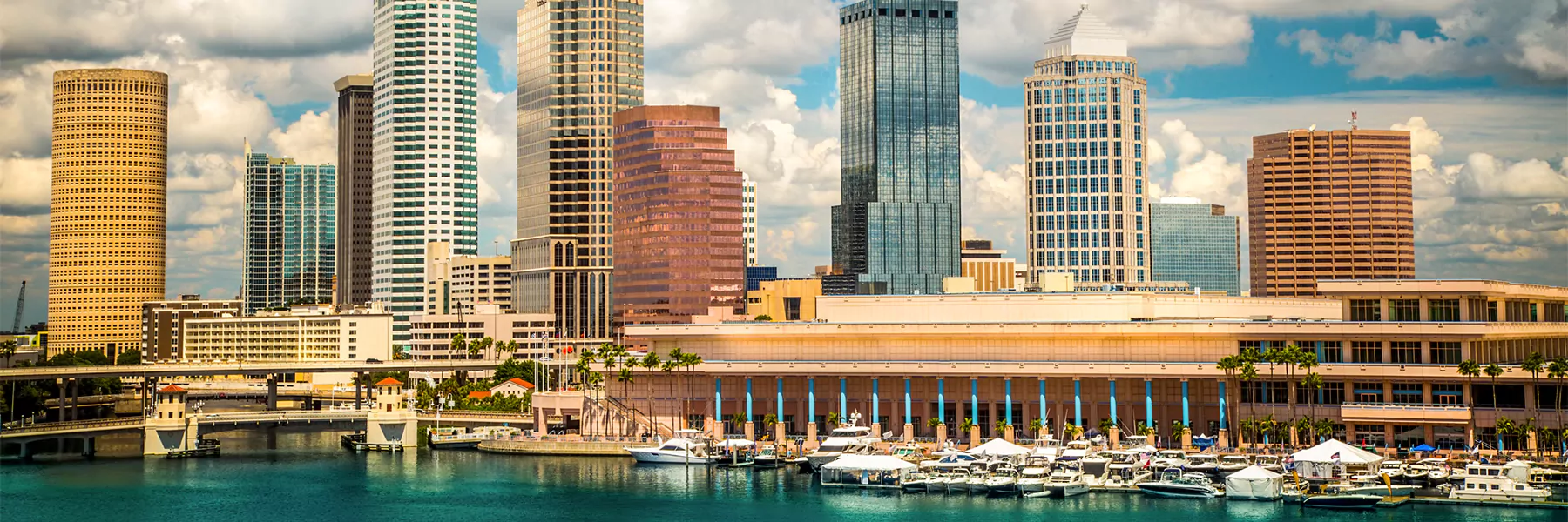 Tampa FL