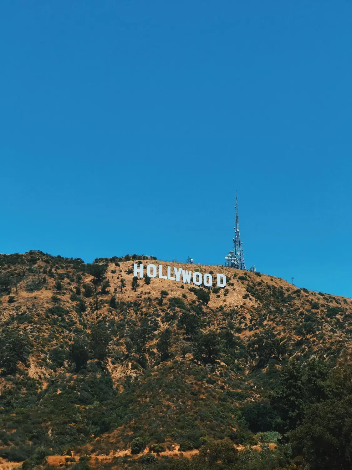 Streaming in the City of Stars-full image